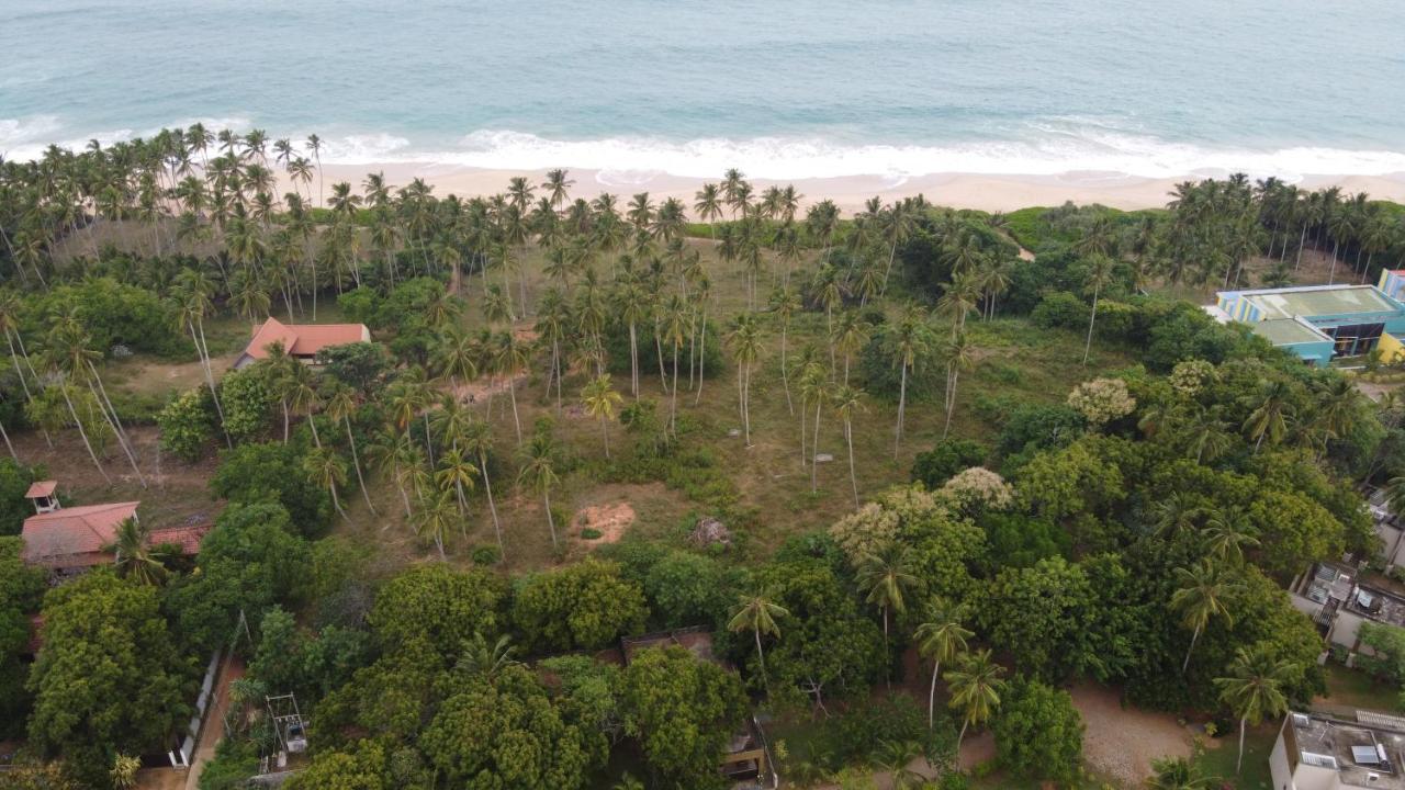 Turtle Wood Cabin Tangalle Bagian luar foto