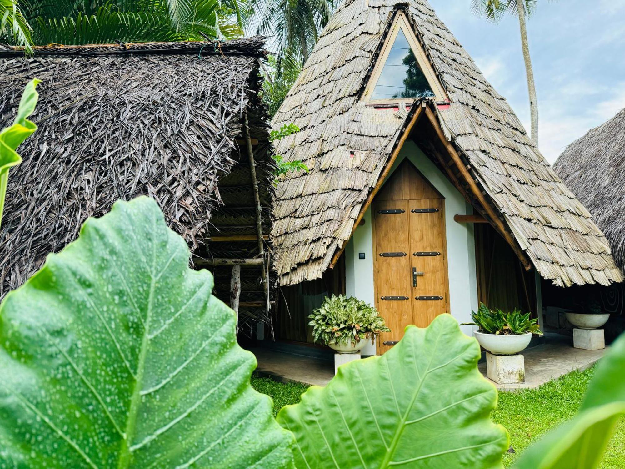 Turtle Wood Cabin Tangalle Bagian luar foto