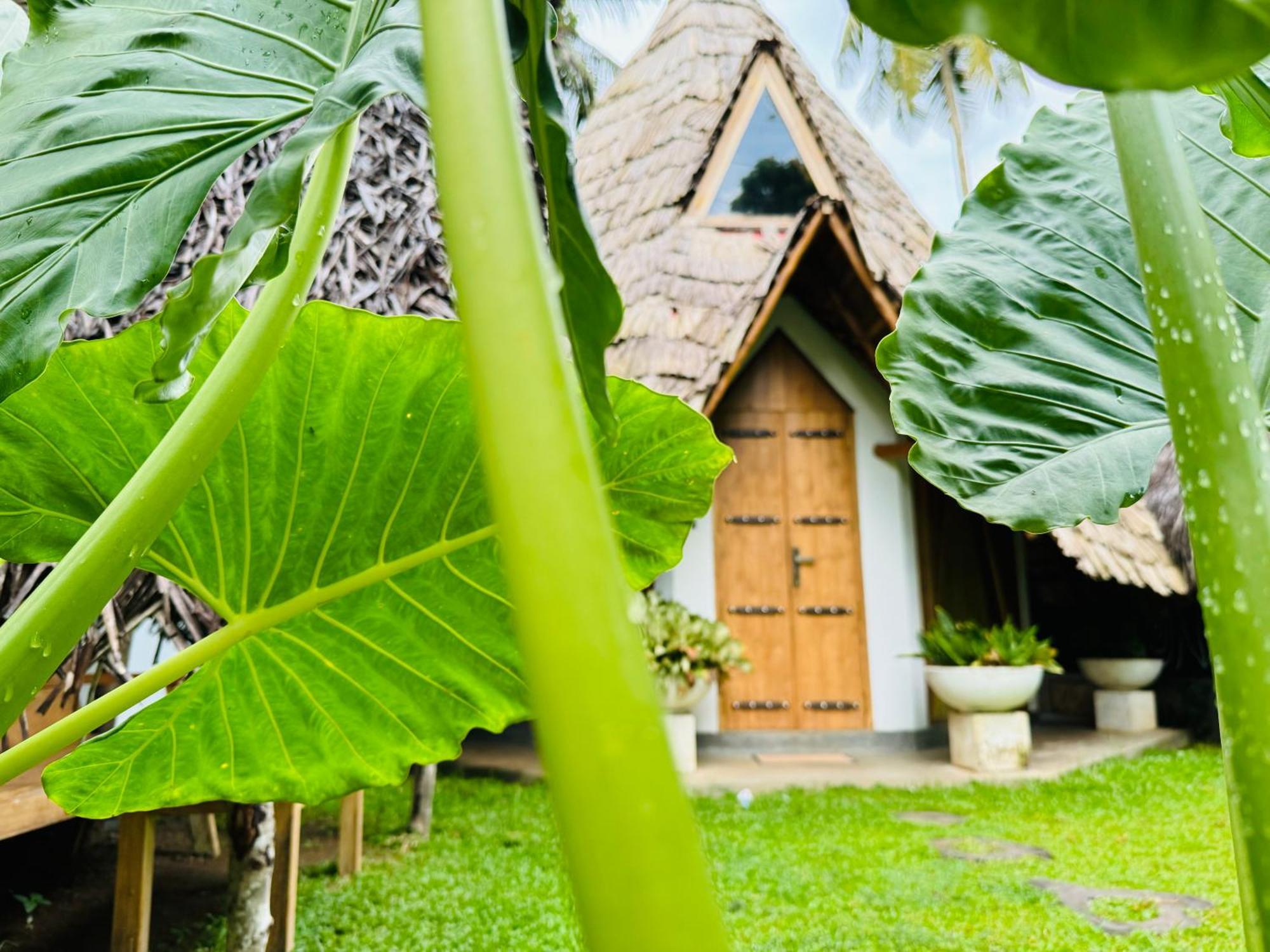 Turtle Wood Cabin Tangalle Bagian luar foto