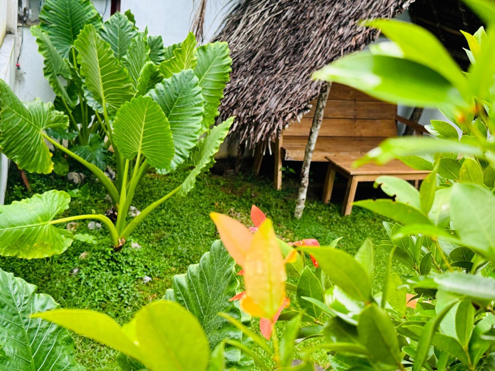 Turtle Wood Cabin Tangalle Bagian luar foto