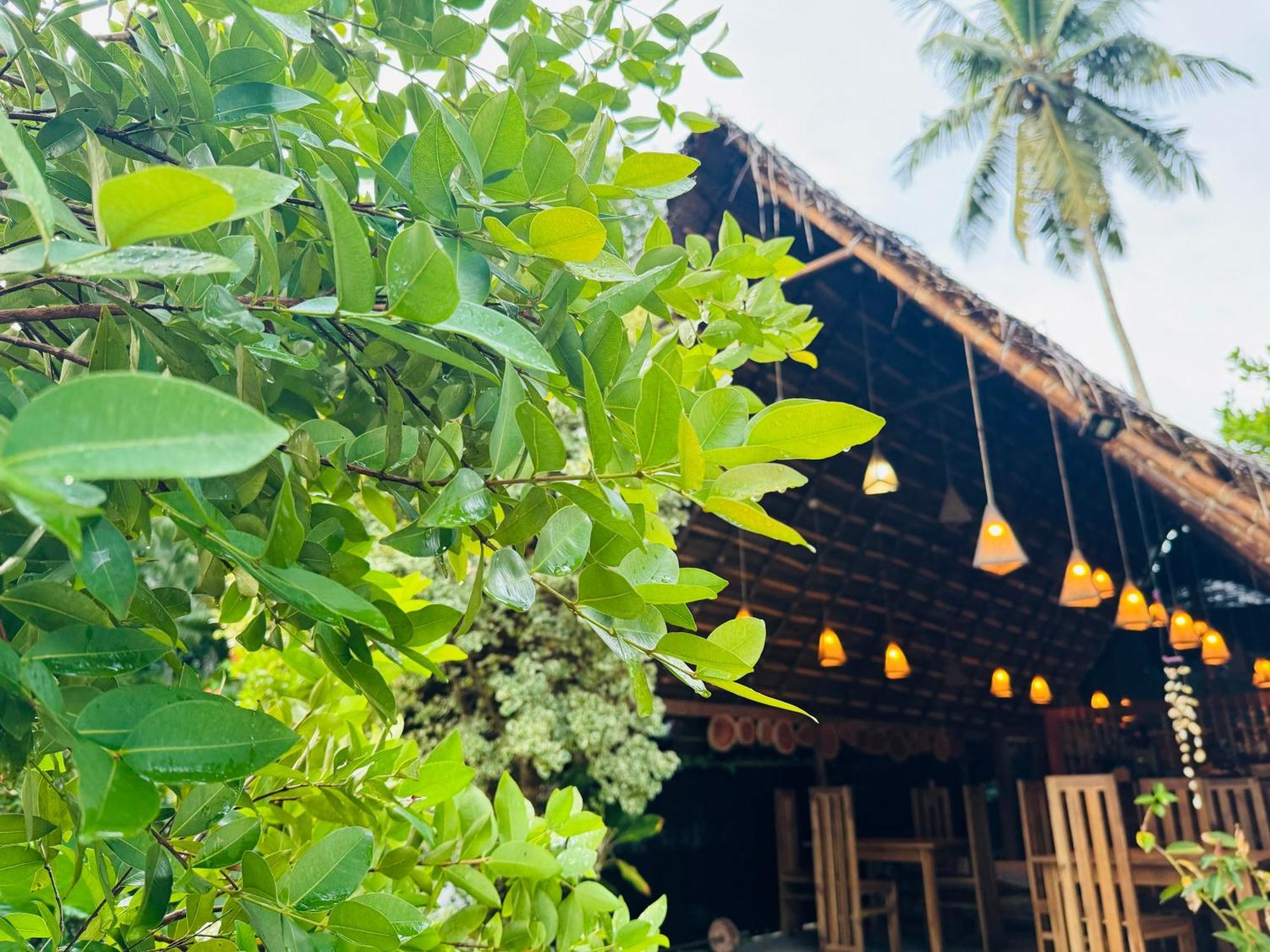 Turtle Wood Cabin Tangalle Bagian luar foto