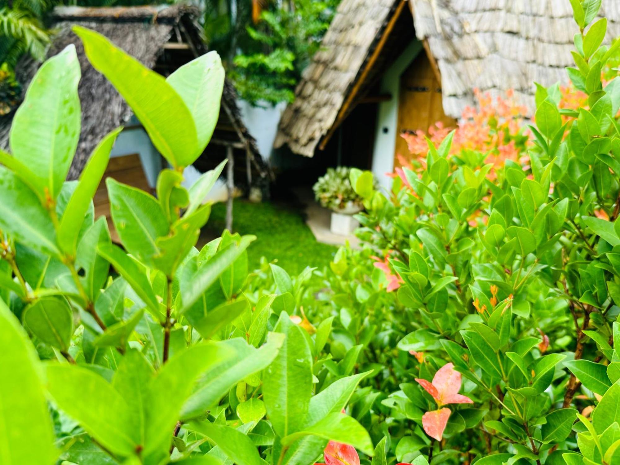 Turtle Wood Cabin Tangalle Bagian luar foto